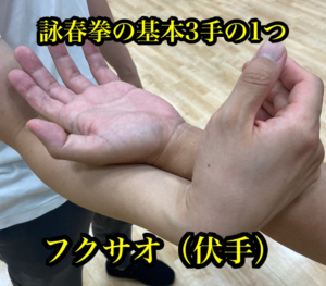 詠春拳基本の3手の1つ フクサオをおさえよう